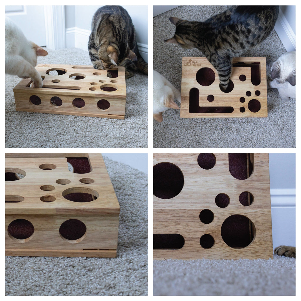 Cat Nail File Enrichment Box